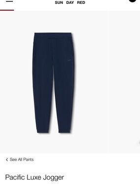 Navy Men's Joggers Sunday Red